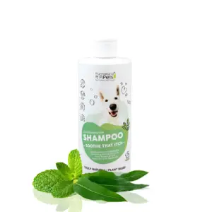 Pet-Shampoo-Soothe-That-Itch