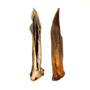 Tropical Paradise | Venison Ears