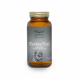 Soaring Free | Capsules | Turkey Tail (90 Caps)