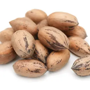 NS | Pecan Nuts
