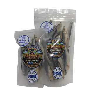 Jolly Jolly Pets | Puppy & Kitty Crack | Fish