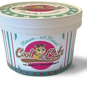 CoolCats | Twinklin' Tune and Coconut Mousse