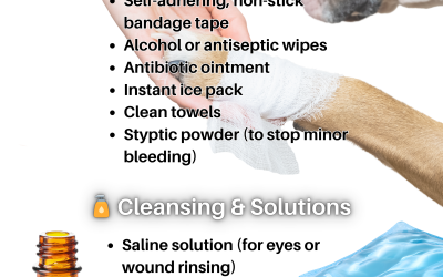 First Aid Kit Essentials 2