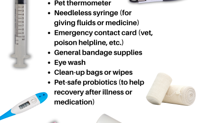 First Aid Kit Essentials 3