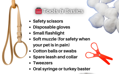 First Aid Kit Essentials