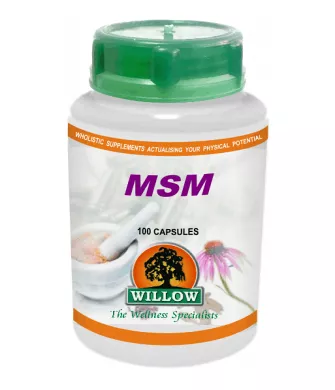 Willow Wellness | Capsules | MSM (100 Caps)