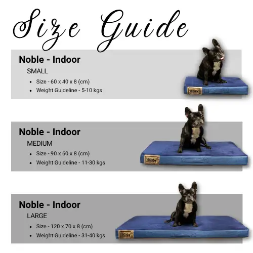 Noble Companion & Co | Noble Napper Dog Bed - Blue (7-Day Leeway) - Image 4